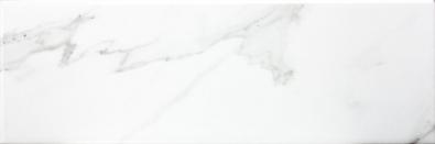 Carrara Gloss 10x30