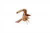 Pepparkvarn The Pepper Bird Original 20,5 cm Mahogny