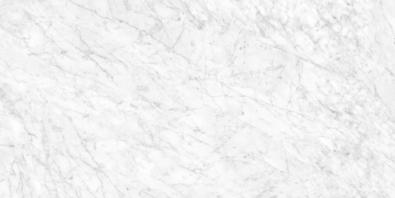 Marmo Carrara Polerad Rect. 30x60