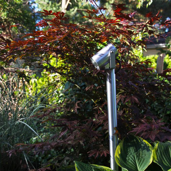 Pollare Luna 65