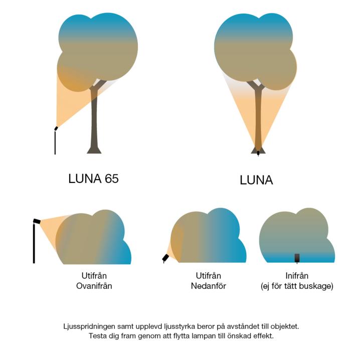 Pollare Luna 65