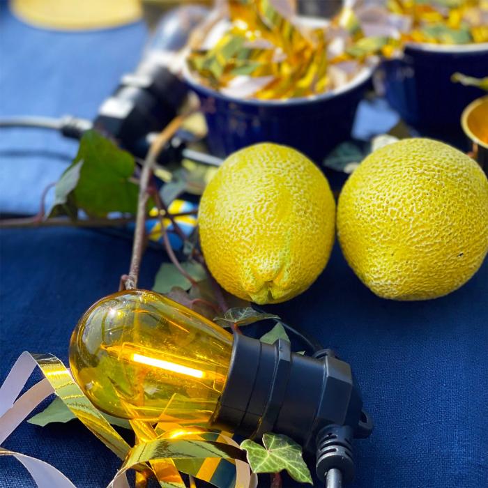 DecoBulb E27 12V 5-pack