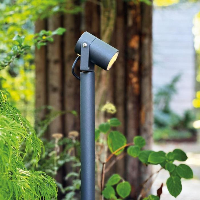 Pollare Luna 65