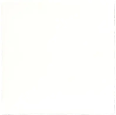 New Country White 15x15