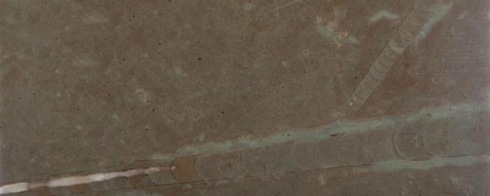 Gråbrun Kalksten Finslipad 20xFallande