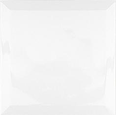 Vit Fasad Blank 20x20