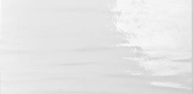 Slate White Gloss 20x40