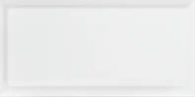 Arkitekt Fasad Vit Matt 9,8x19,8