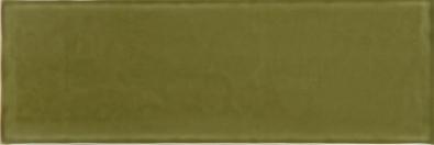 Emotion Oliv Glossy 9,8x29,8
