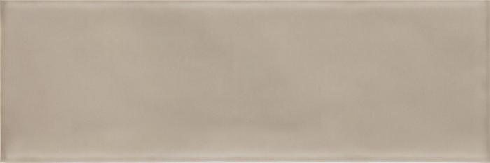 Emotion Beige Glossy 9,8x29,8