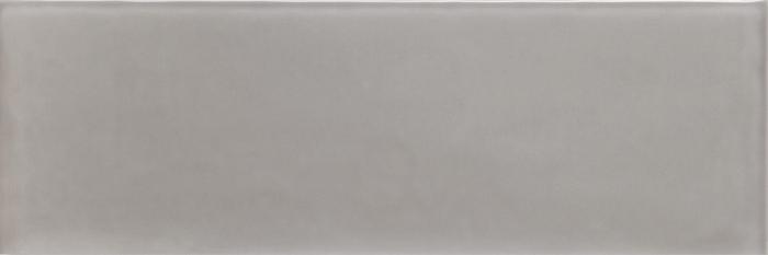 Emotion Grå Glossy 9,8x29,8