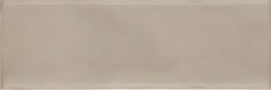 Emotion Beige Glossy 9,8x29,8