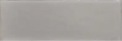 Emotion Gr&aring; Glossy 9,8x29,8