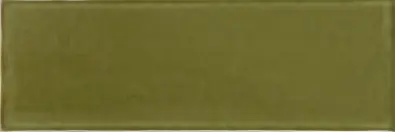 Emotion Oliv Glossy 9,8x29,8