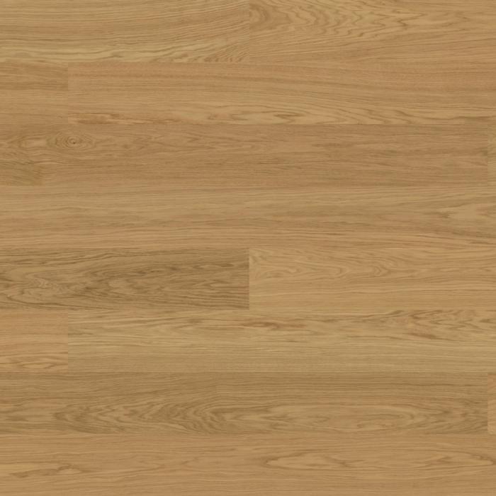 Norrlia 3.0 XL