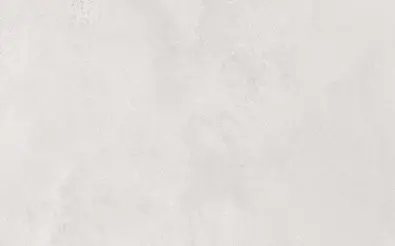 Buxi Silver Matt 25x40