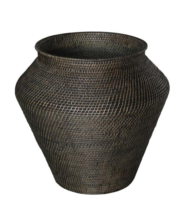 Amazon Snake Korg Rotting