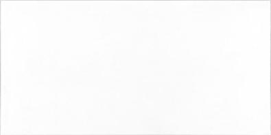 Project White Matt 20x40