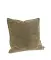 Plain Olive