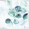 Klinker Gloria Woods 15x15