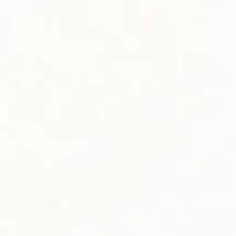 Ral White Matt 9016 9,7x9,7 Ark