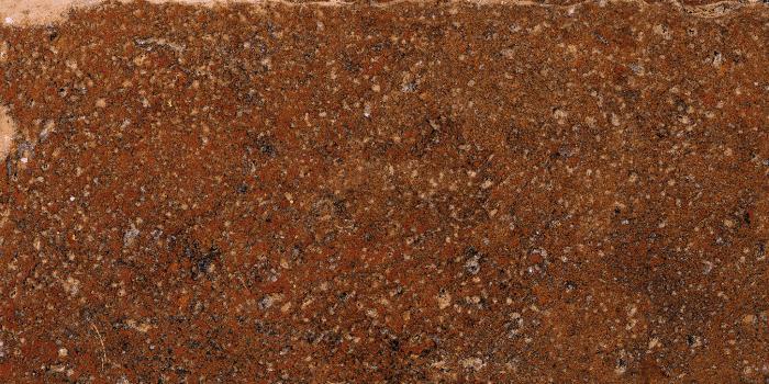 Roma Siena 20x40 Klinker