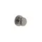 Borstad Nickel