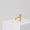Brushed Brass