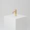 Brushed Brass