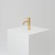 Brushed Brass