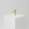 Brushed Brass