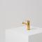 Brushed Brass