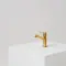 Brushed Brass