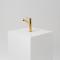 Brushed Brass