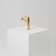Brushed Brass