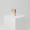 Brushed Brass