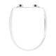 Vit