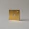 Brushed Brass