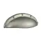 Borstad nickel