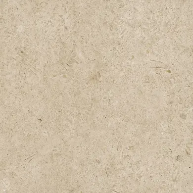 Eternal Greige Rect. 59,5x59,5