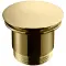 Honungsguld