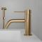 Brushed Brass
