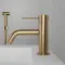 Brushed Brass