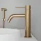 Brushed Brass