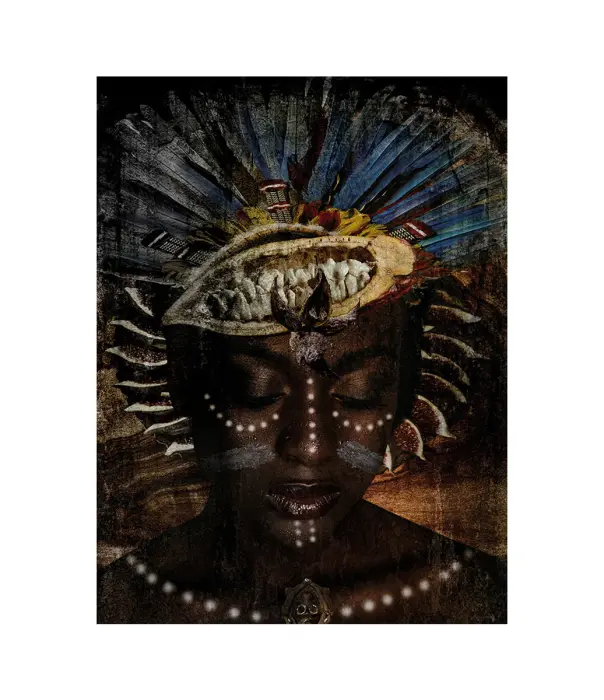 Tavla Out of Africa, Plexiglas