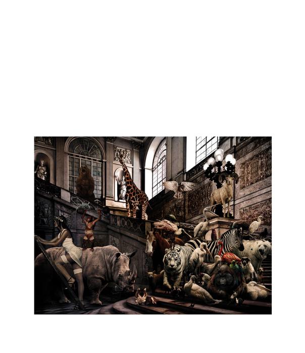 Tavla City Jungle, Aluminium