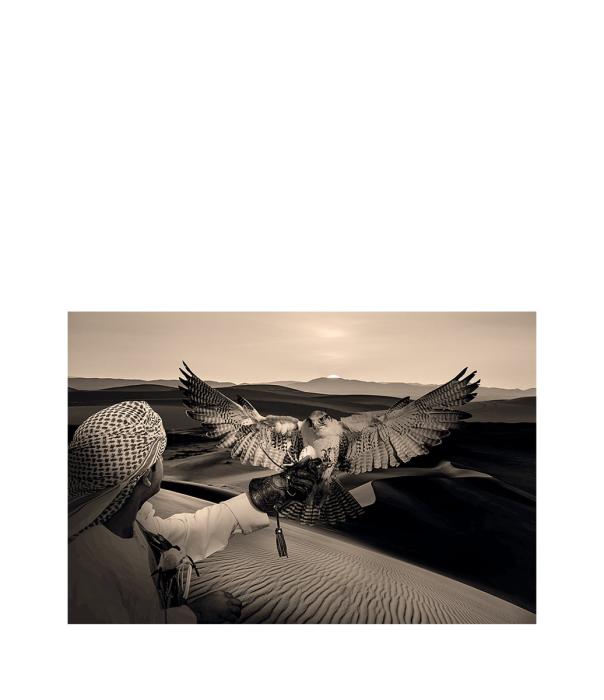 Tavla Arabian Hunt, Plexiglas
