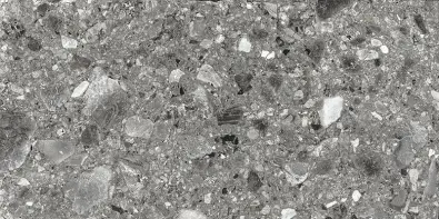 Ceppo Ash Rect. 29,8x59,8