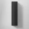 Black Oak