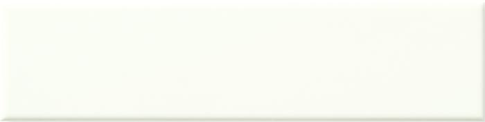 Evolve 5x20 vit blank